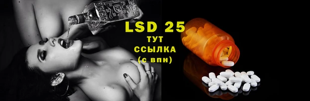 ГАЛЛЮЦИНОГЕННЫЕ ГРИБЫ Болхов