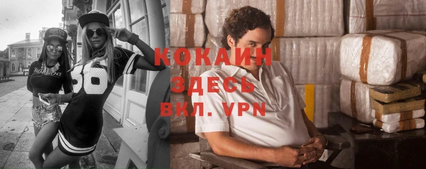ГАЛЛЮЦИНОГЕННЫЕ ГРИБЫ Болхов
