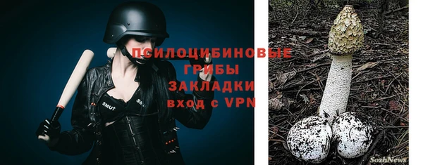 прущий лед Армянск
